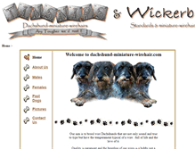 Tablet Screenshot of dachshund-miniature-wirehair.com